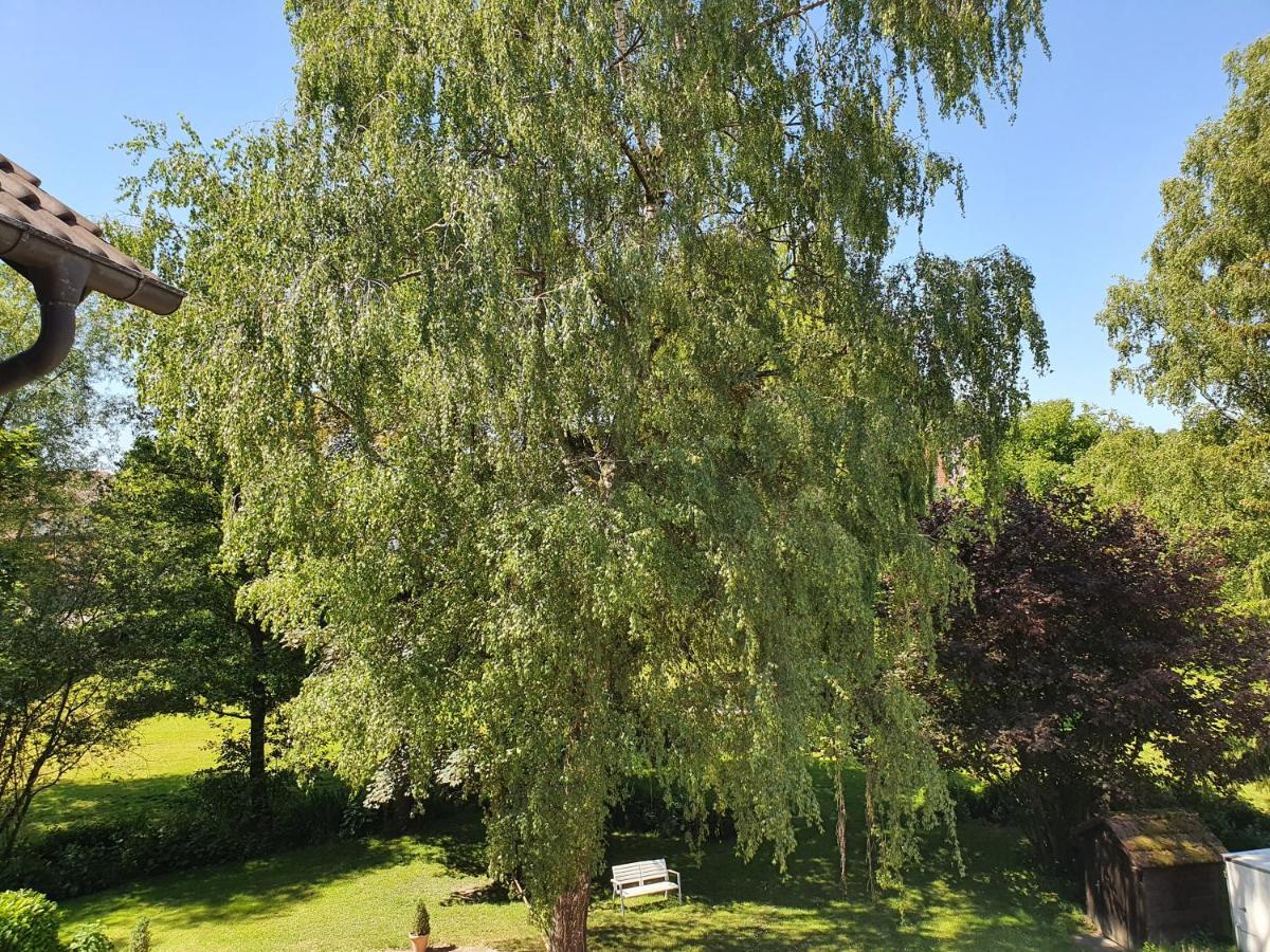 Schoenenberger Hof Orsingen-Nenzingen Eksteriør bilde